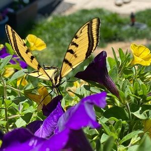 Meet your Posher, Mary beth